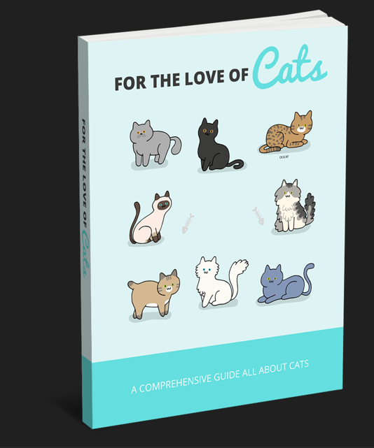 Book 1