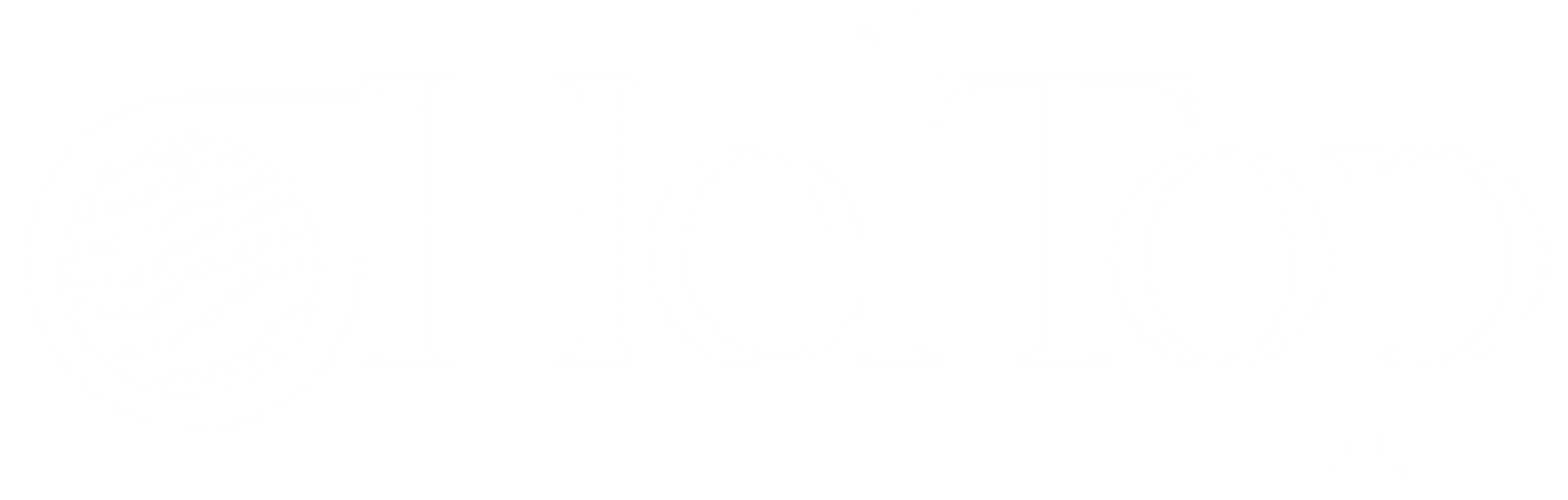 HelTop logo