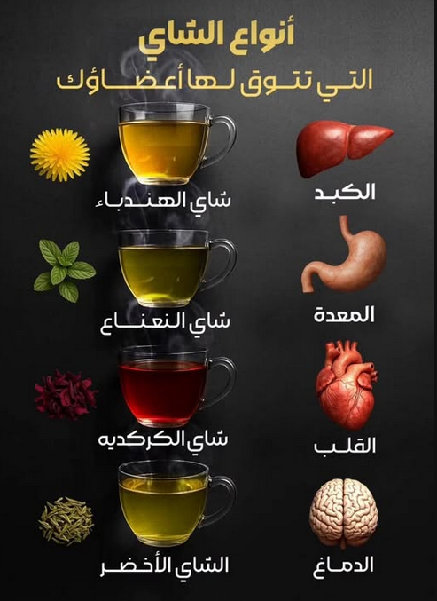 ���� ���� ������ �� ���� ������