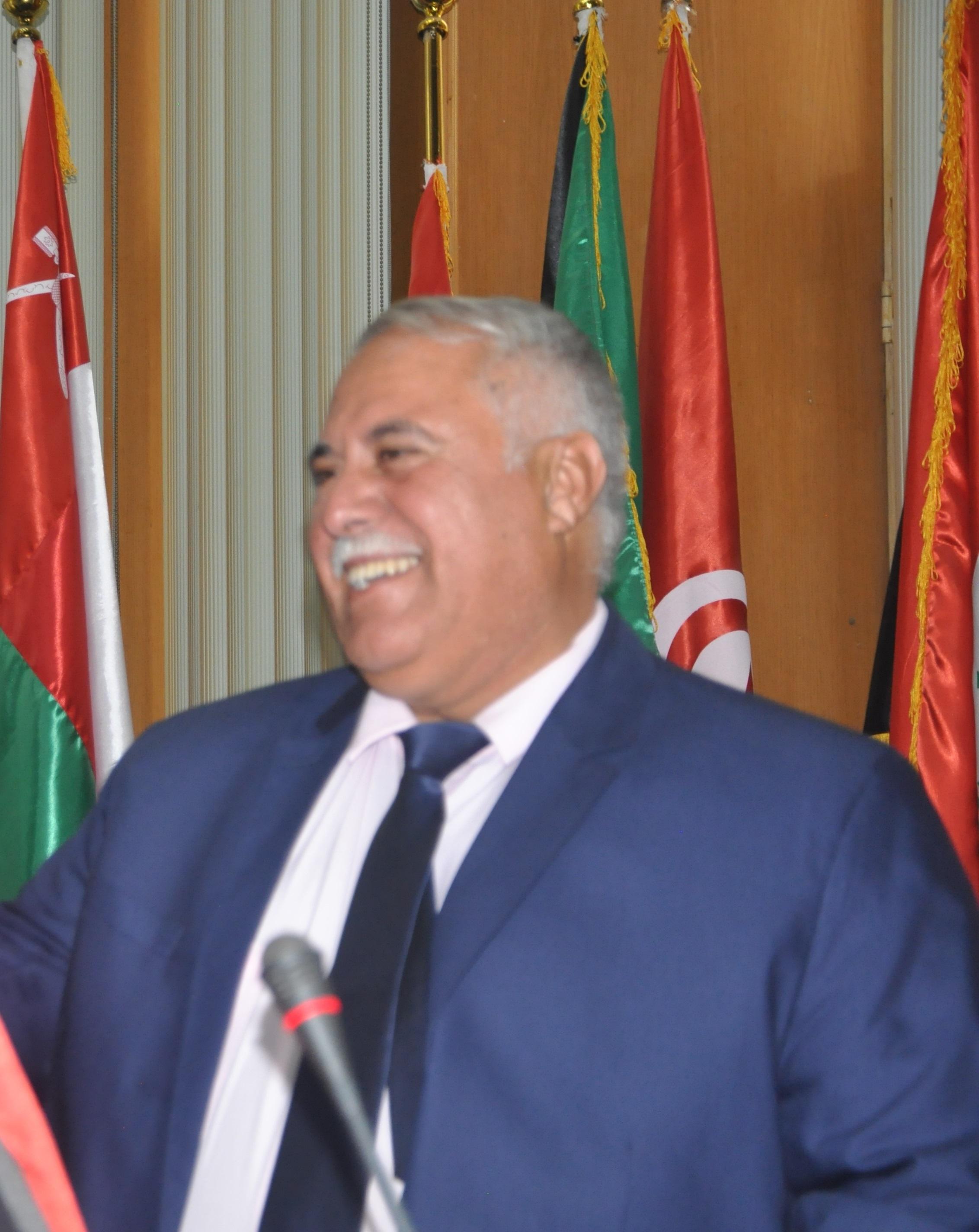 الأستاذ/ السيد إبراهيم الرومي