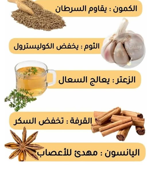 ���� ���� ������ �� ���� ������