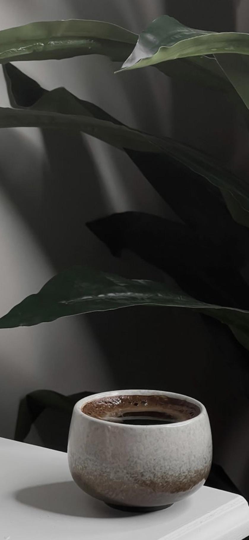 514021716.jpeg