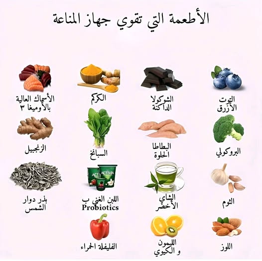 ���� ���� ������ �� ���� ������