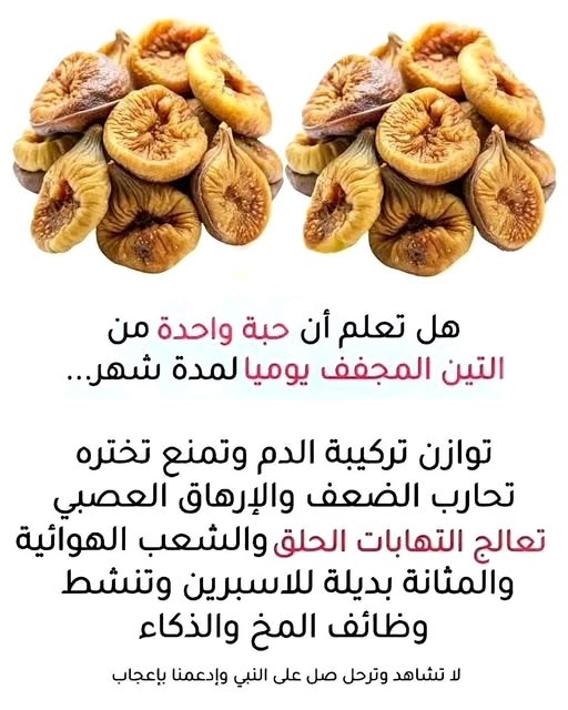 ���� ���� ������ �� ���� ������