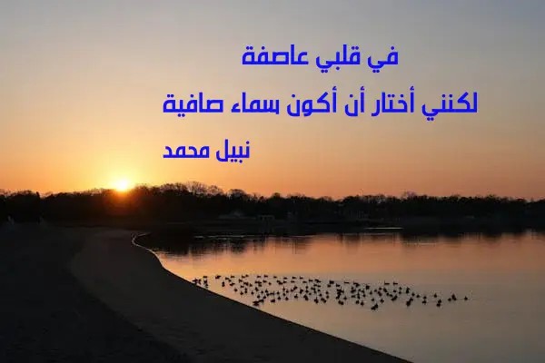 ���� �����