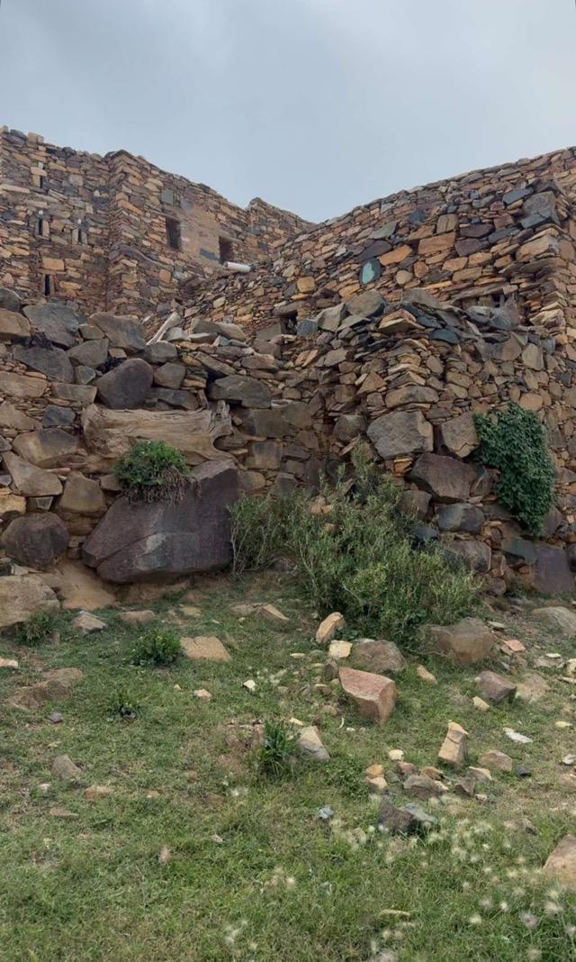 ����� ���� ������