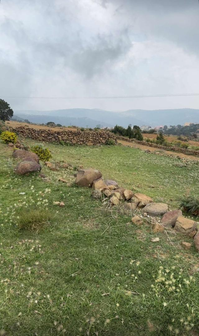 ����� ���� ������