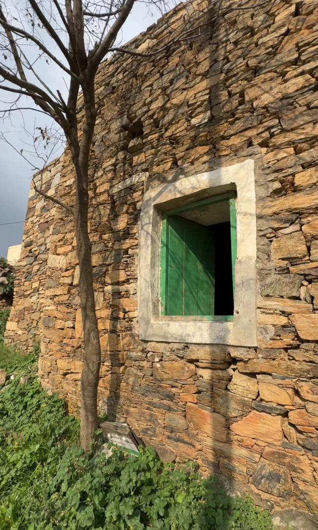 ����� ���� ������