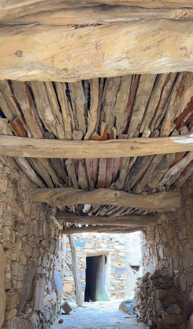 ����� ���� ������