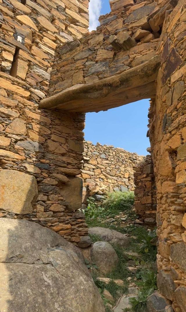 ����� ���� ������