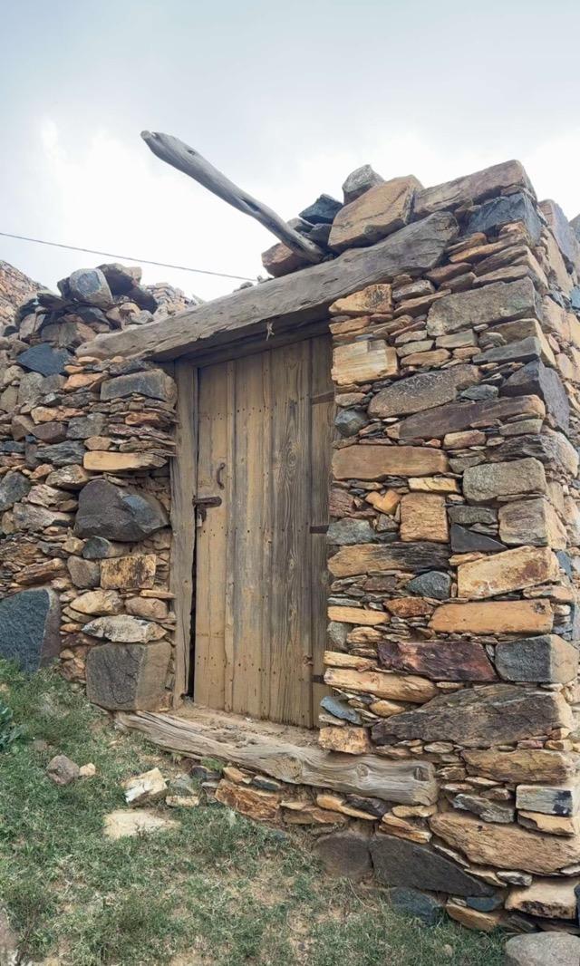 ����� ���� ������