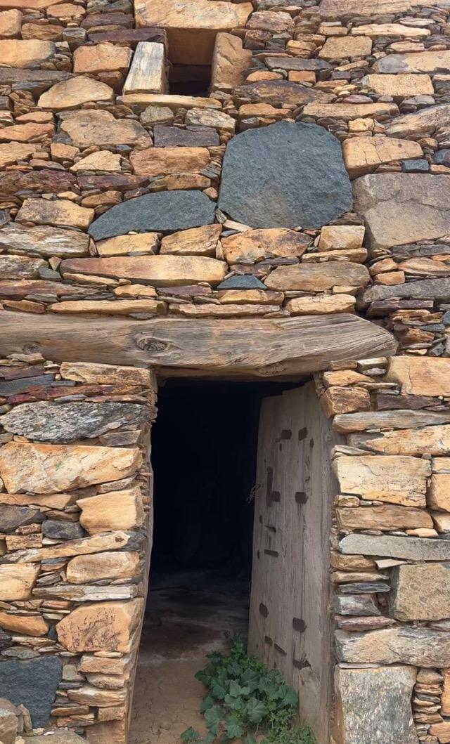 ����� ���� ������