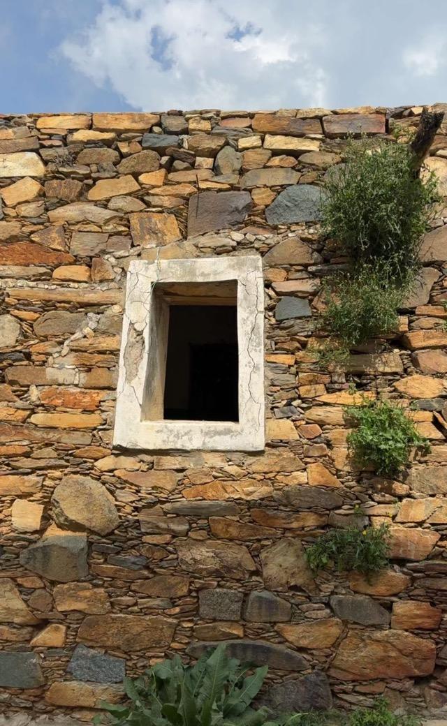 ����� ���� ������