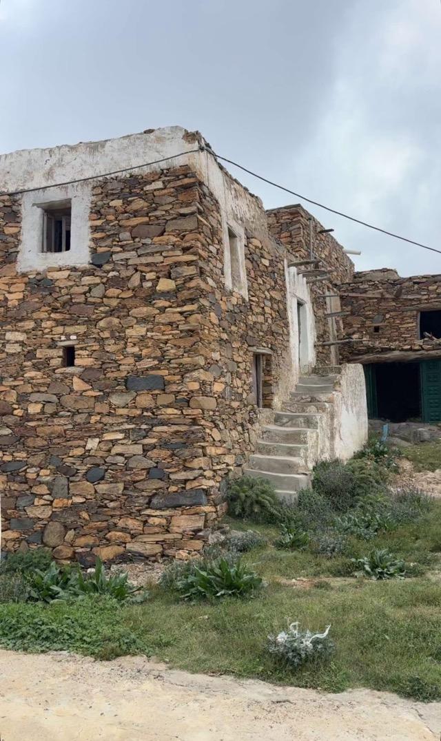 ����� ���� ������