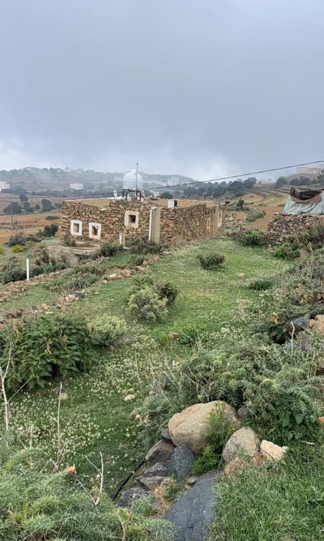 ����� ���� ������