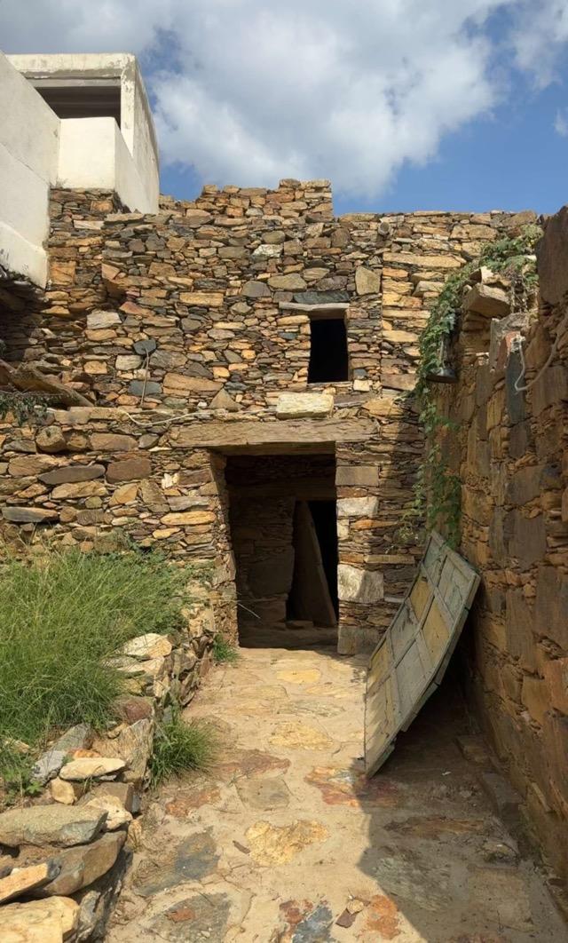 ����� ���� ������