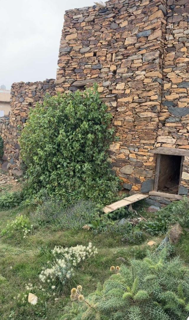 ����� ���� ������