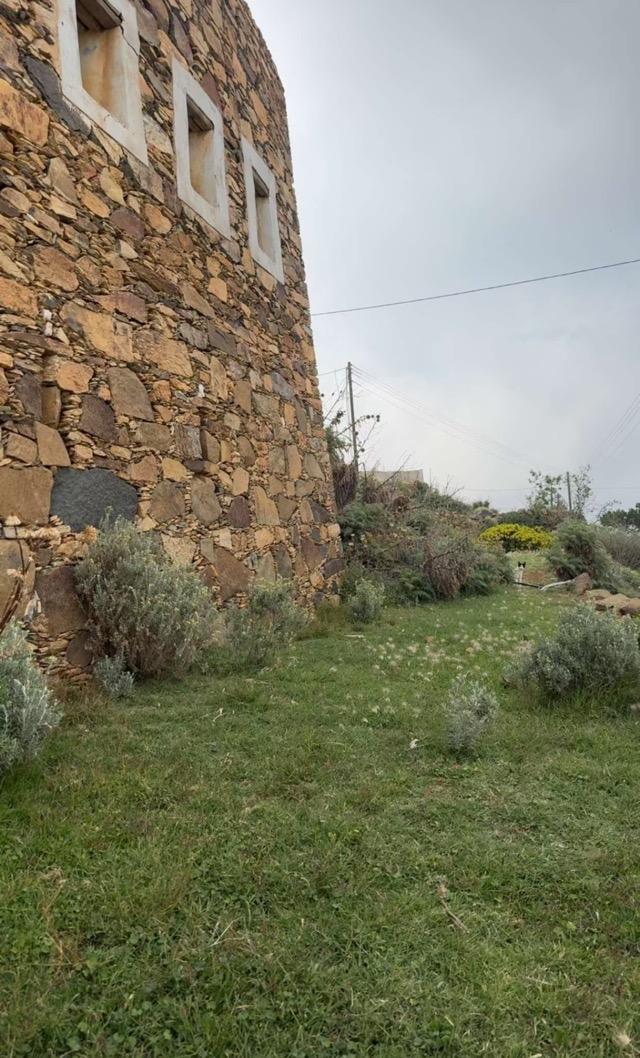 ����� ���� ������