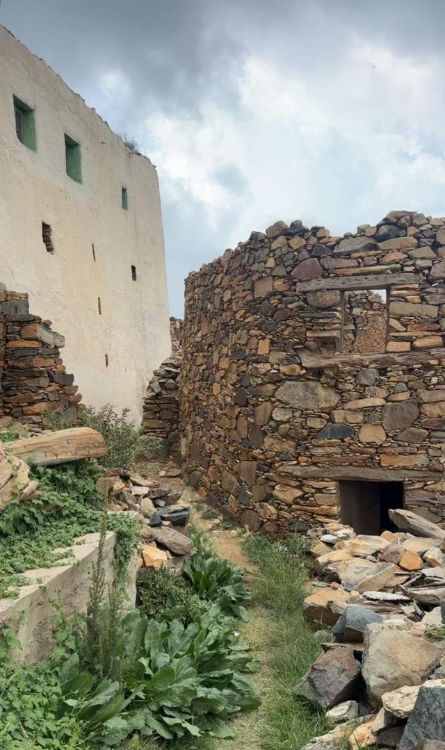 ����� ���� ������