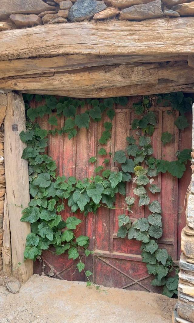 ����� ���� ������