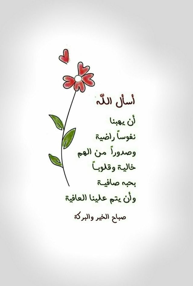 ������ ���� ������ �� ���� ������