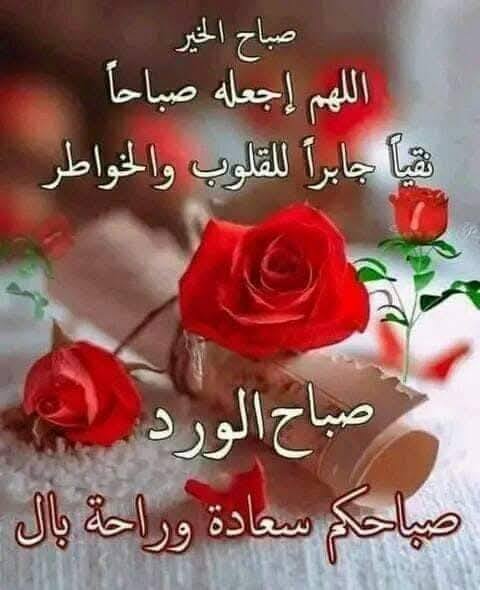 ���� ���� ������ �� ���� ������