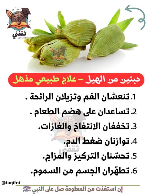 ���� ���� ������ �� ���� ������