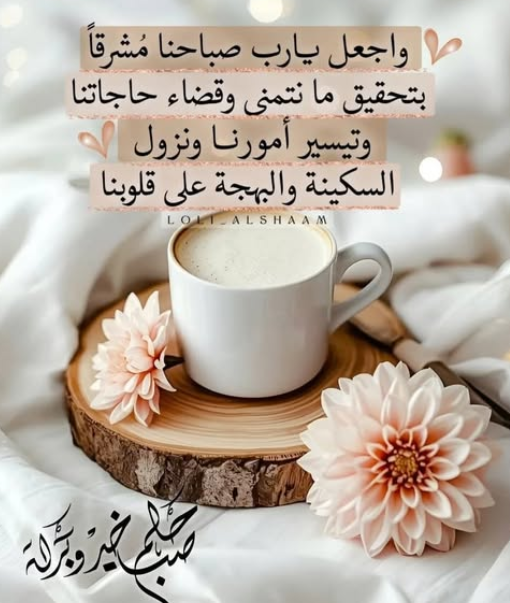 ���� ���� ������ �� ���� ������