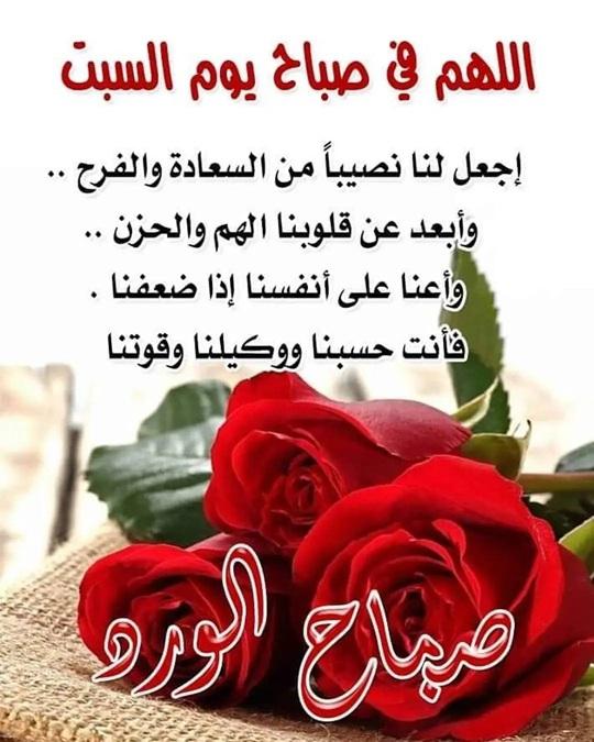 ���� ���� ������ �� ���� ������