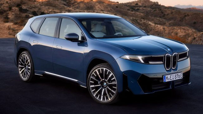 ������� 494021073.jpg