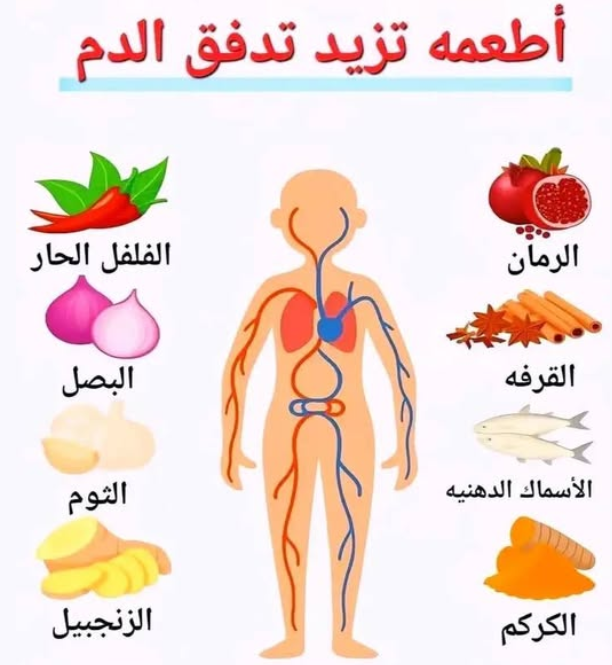 ���� ���� ������ �� ���� ������