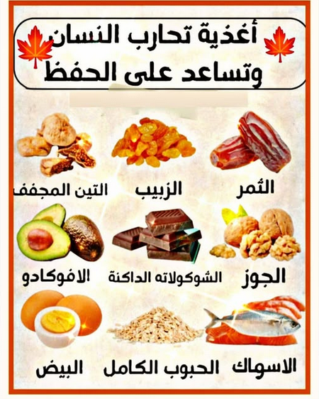 ���� ���� ������ �� ���� ������