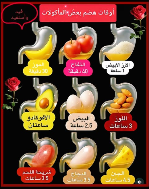 ���� ���� ������ �� ���� ������