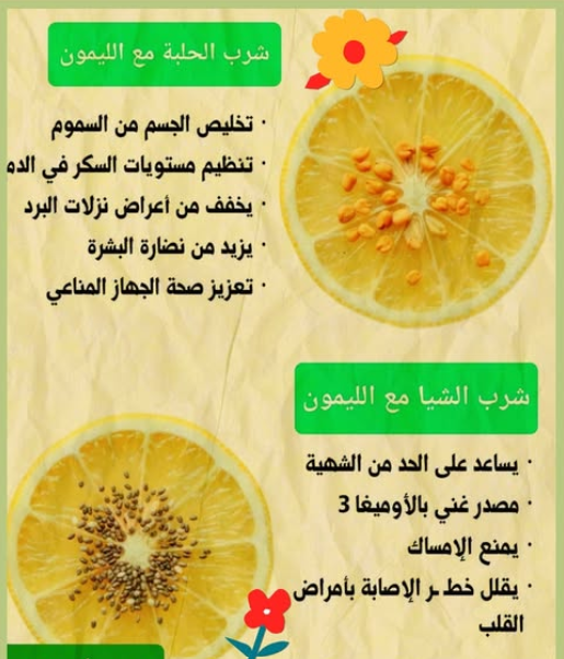 ���� ���� ������ �� ���� ������