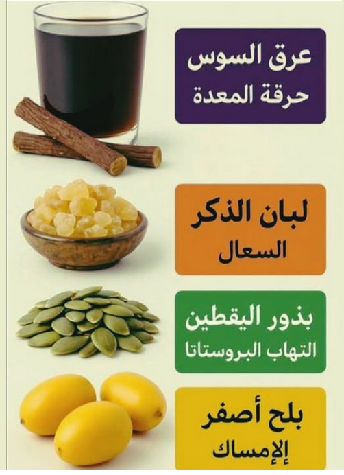 ���� ���� ������ �� ���� ������