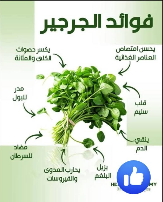 ���� ���� ������ �� ���� ������