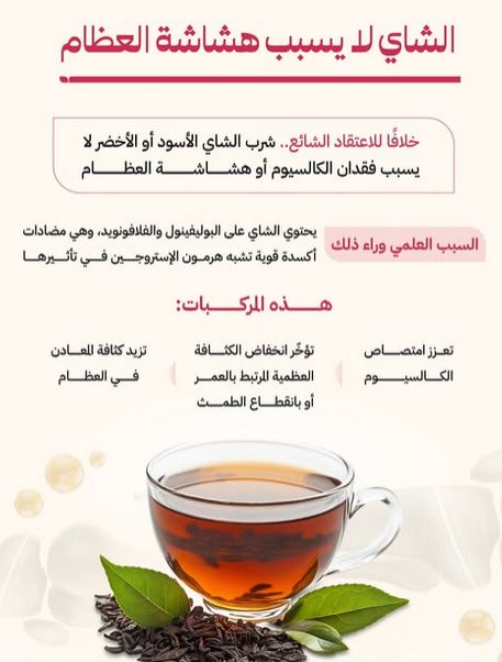 ���� ���� ������ �� ���� ������