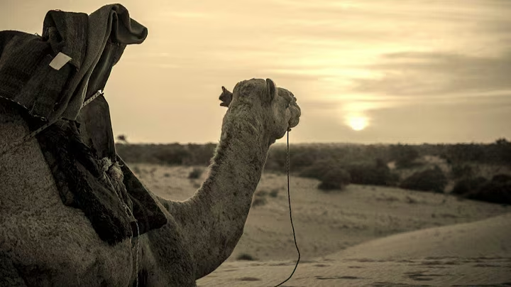 ������ ���� ������ �� ���� ������