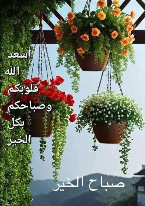 ���� ���� ������ �� ���� ������