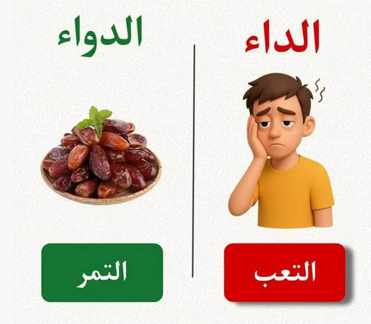 ���� ���� ������ �� ���� ������