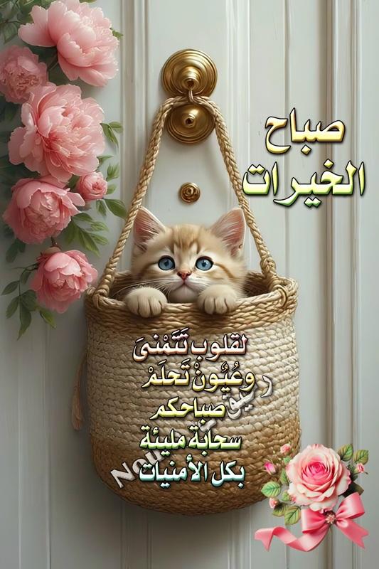 ���� ���� ������ �� ���� ������