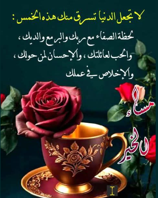 ���� ���� ������ �� ���� ������