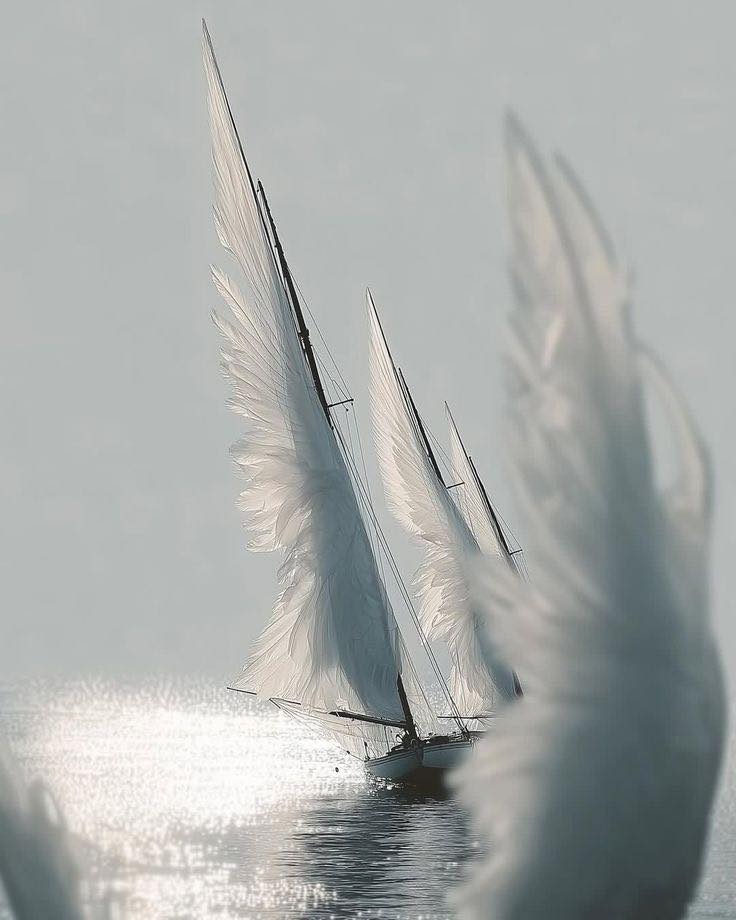 ������ ���� ������ �� ���� ������