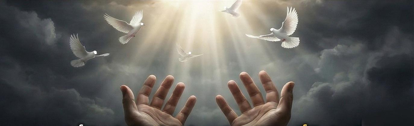 ������ ���� ������ �� ���� ������