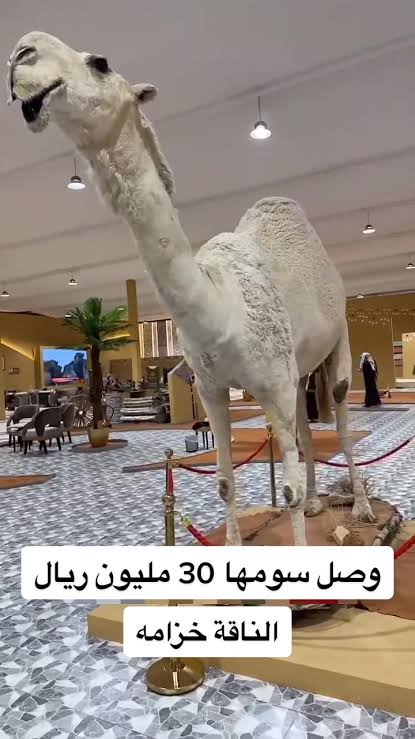 ���� ���� ������ �� ���� ������