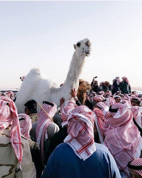 ���� ���� ������ �� ���� ������