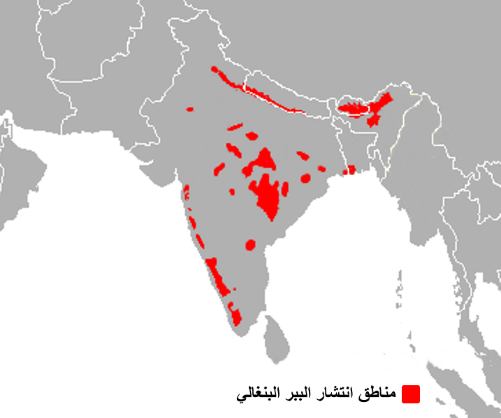 ���� ���� ������ �� ���� ������