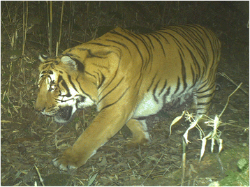 ���� ���� ������ �� ���� ������