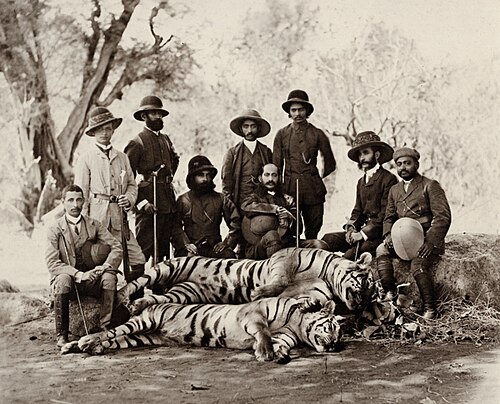 ���� ���� ������ �� ���� ������