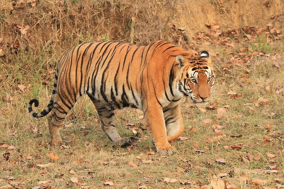 ���� ���� ������ �� ���� ������